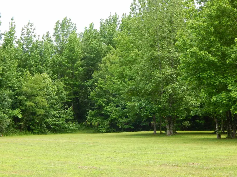 Lots 12 & 13 River View Drive, Heber Springs, AR 72543 - #3