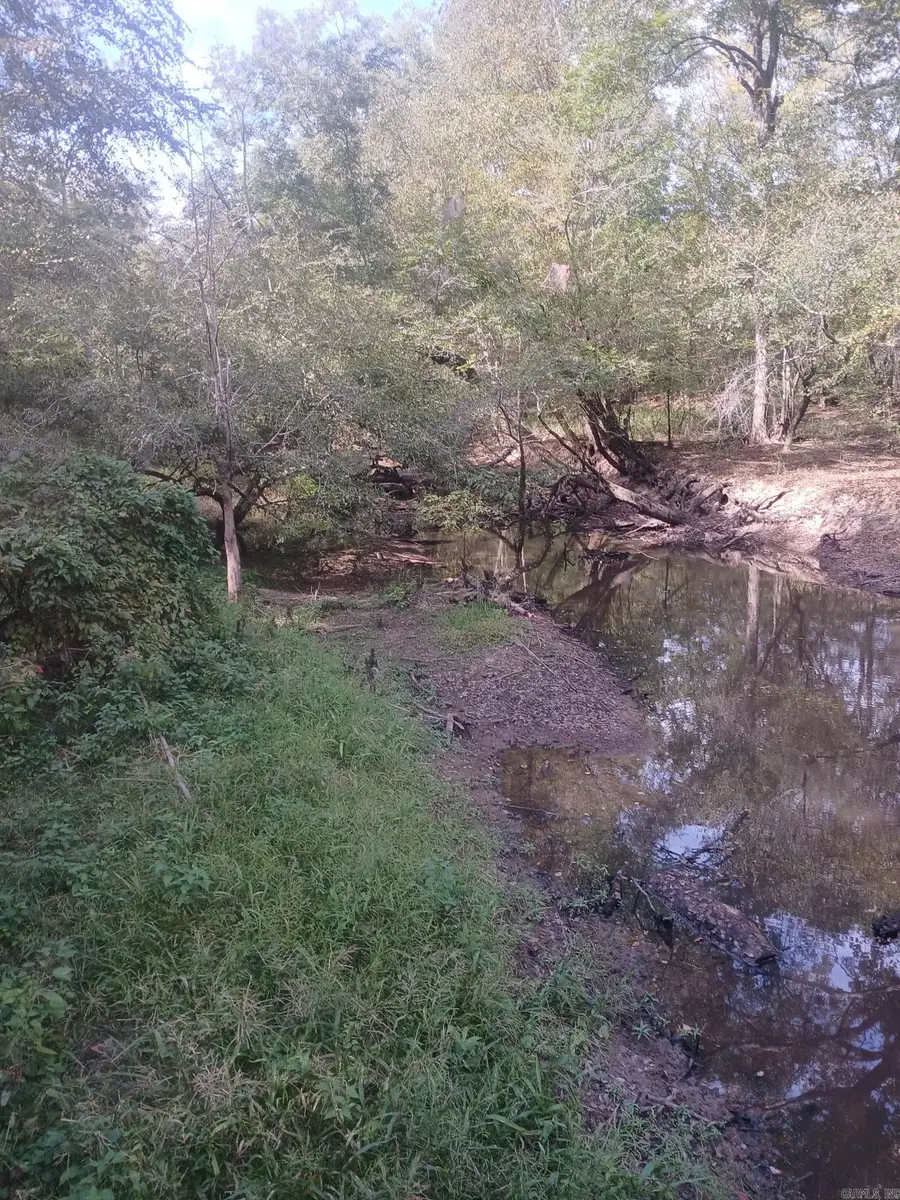 33.00 Acres Hwy 270, Poyen, AR 72128 - #3