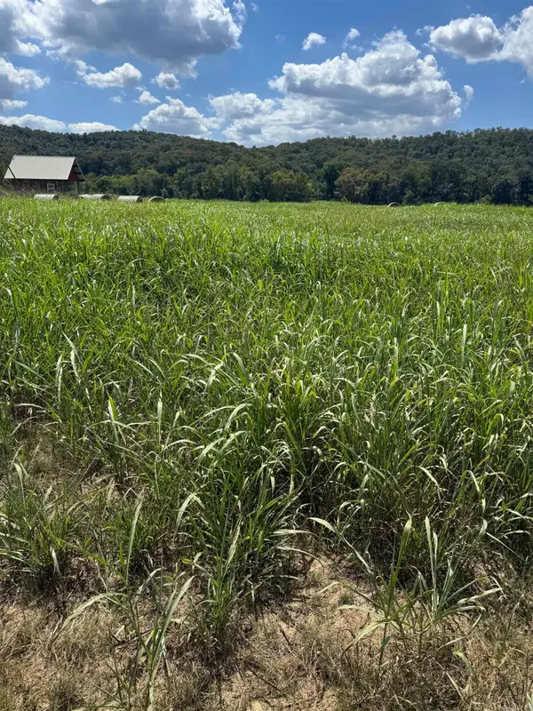 64-65 White River Run, Guion, AR 72540