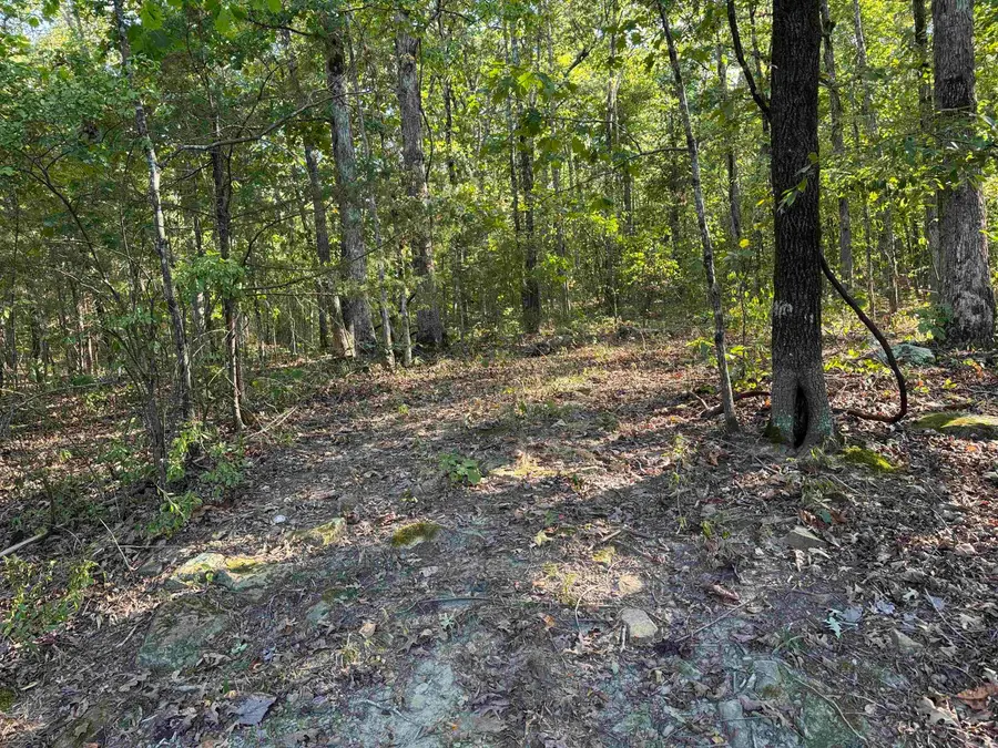 00 Bypass, Heber Springs, AR 72543 - #3