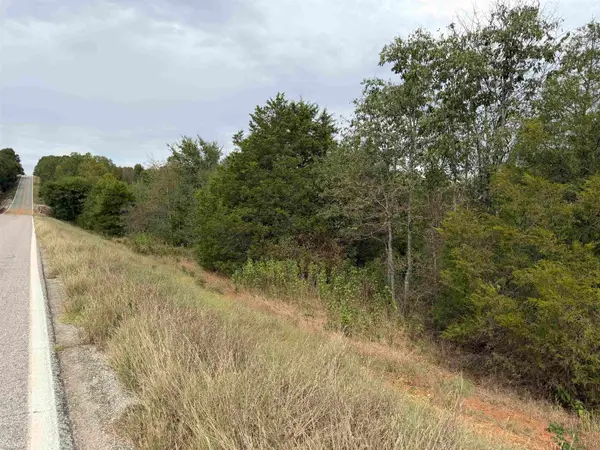 TBD N Hwy 289, Ash Flat, AR 72513