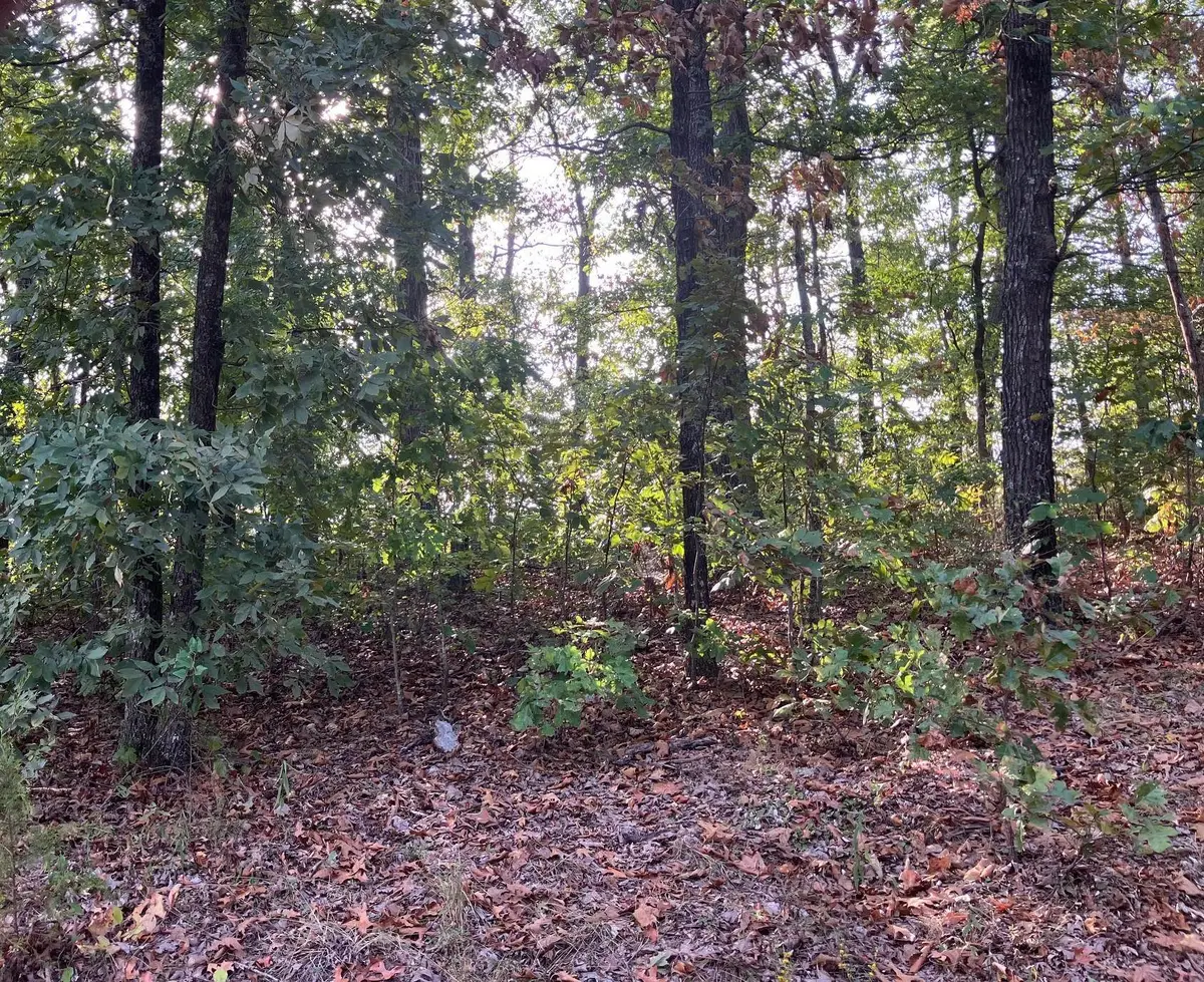 Lots 11-15 Tucker Road, Hardy, AR 72542 - #1