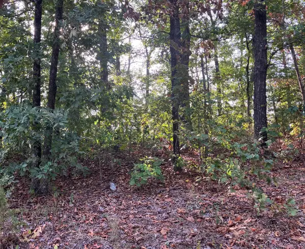 Lots 11-15 Tucker Road, Hardy, AR 72542