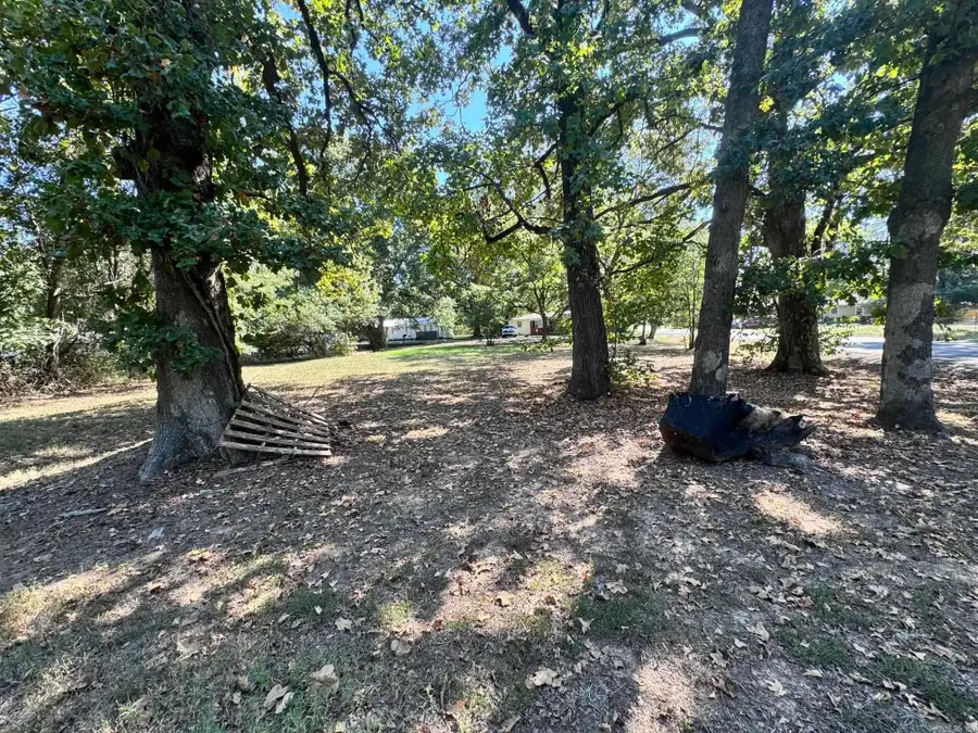 115 Suda Street, Cabot, AR 72023 - #3