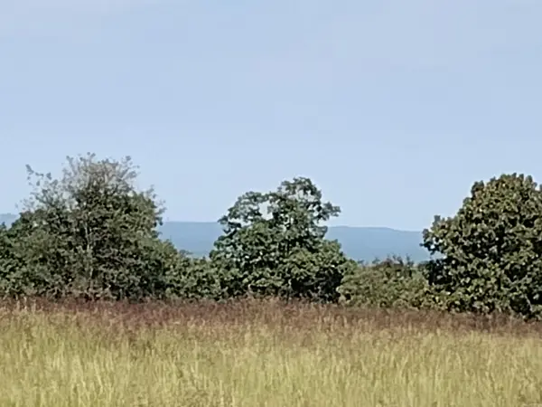 0 Toad Hollow Rd, Mountain View, AR 72560