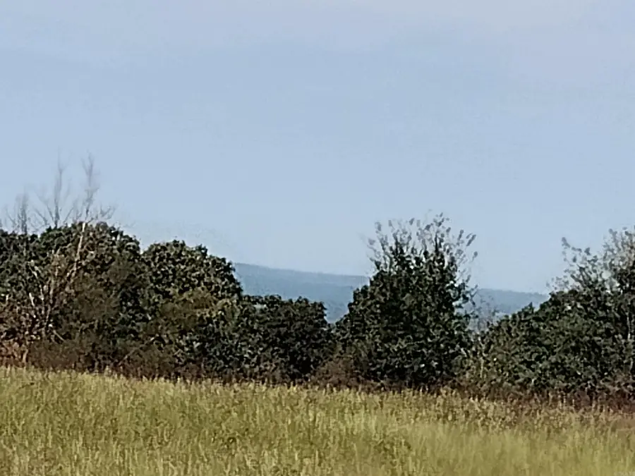 0 Toad Hollow Rd, Mountain View, AR 72560 - #2