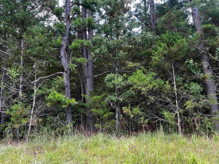 00 Heigle Road, Tumbling Shoals, AR 72581 - #2
