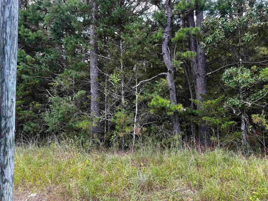 00 Heigle Road, Tumbling Shoals, AR 72581 - #3