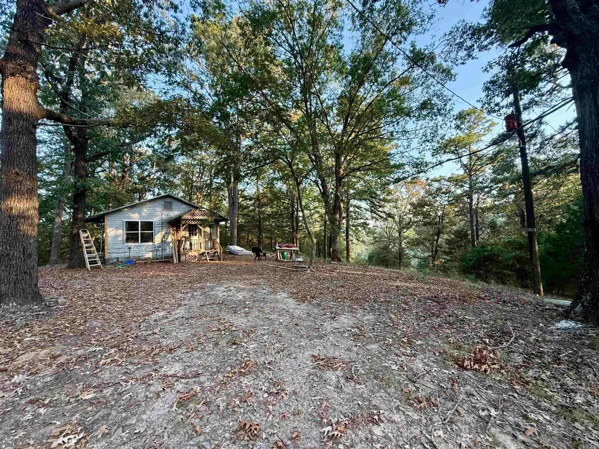190 Plum Ln, Mena, AR 71953 - #1