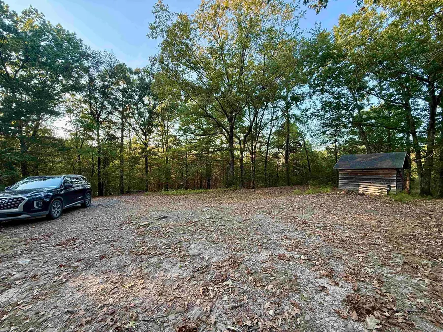 190 Plum Ln, Mena, AR 71953 - #3