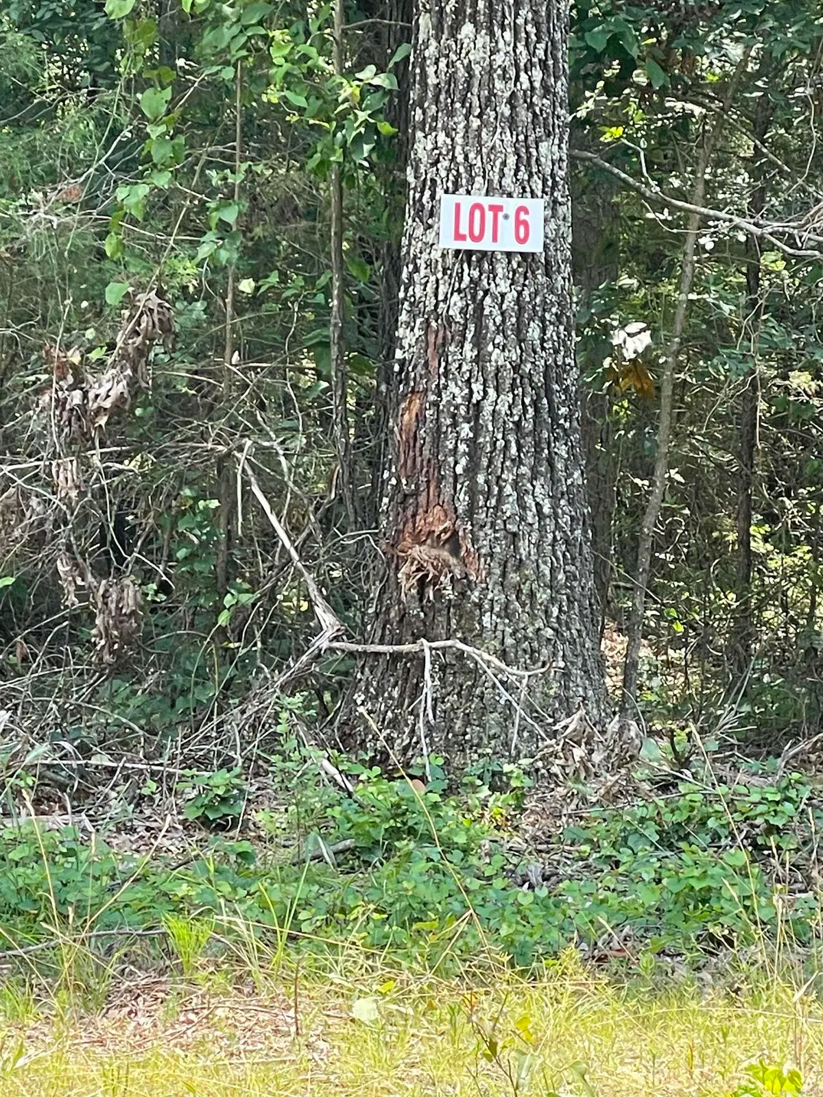 Lot 6 Pleasant Ridge Road, Greers Ferry, AR 72067 - #1