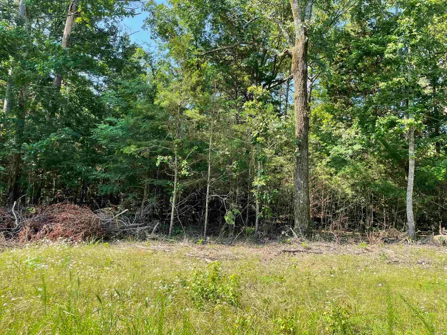 Lot 6 Pleasant Ridge Road, Greers Ferry, AR 72067 - #2