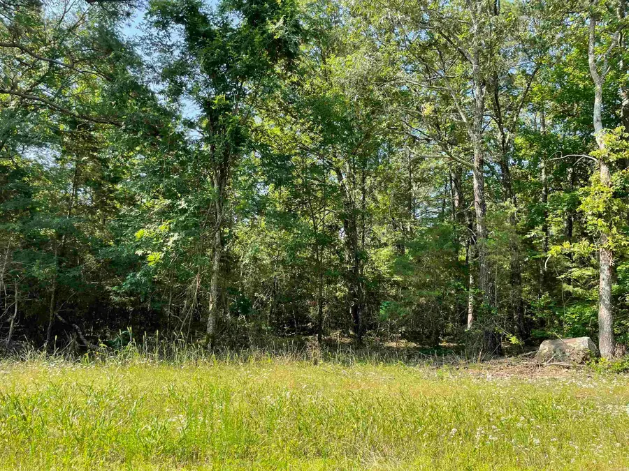 Lot 6 Pleasant Ridge Road, Greers Ferry, AR 72067 - #3