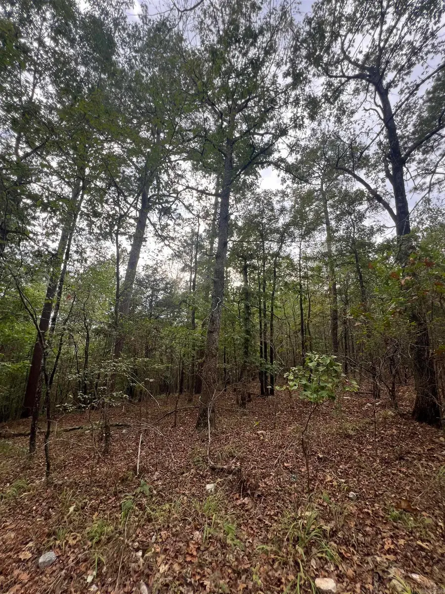 TBD #2 N Chaparral, Mena, AR 71953 - #3