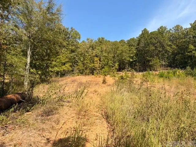 Dawn Dr W Drive, Mayflower, AR 72106 - #2