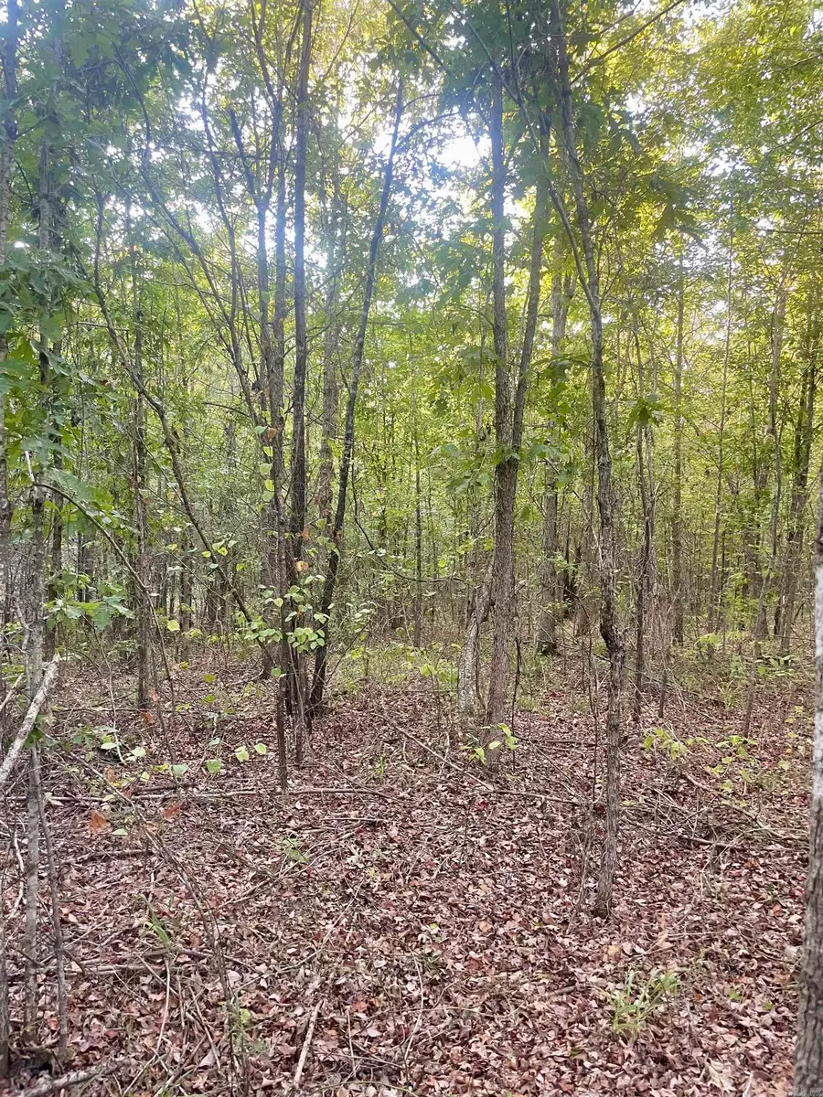 TBD Highway160, Doddridge, AR 71834 - #2