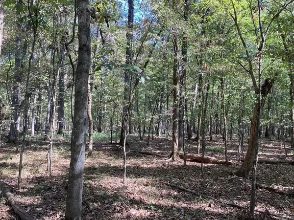 Boswell Road, Okolona, AR 71962
