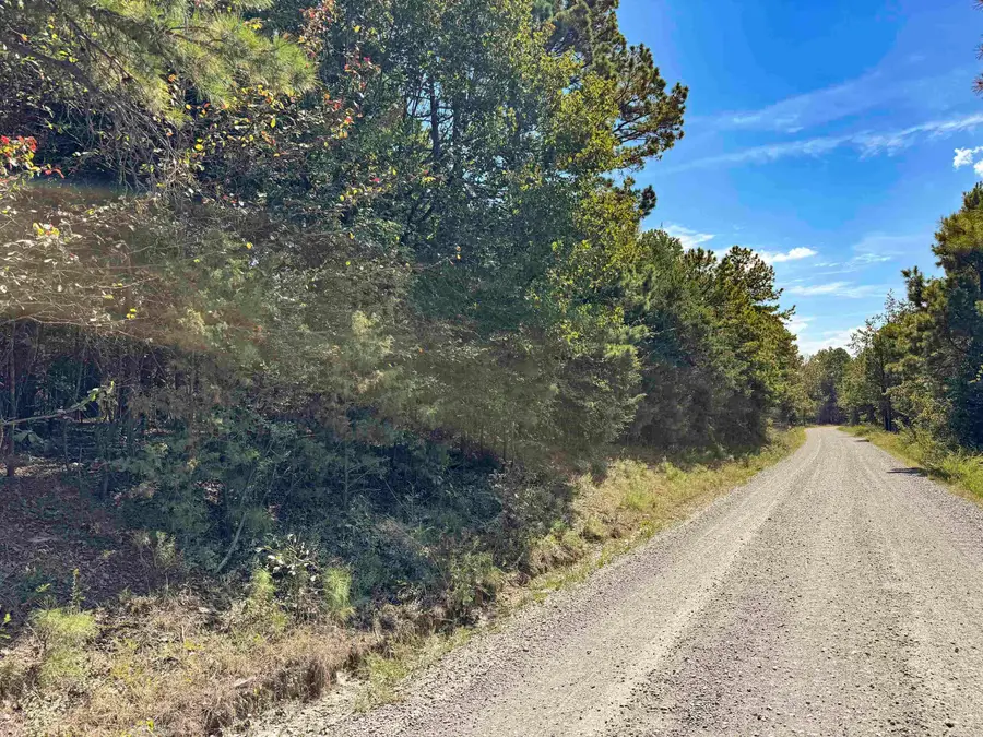 1500 Pole Ranch Road, Shirley, AR 72153 - #3
