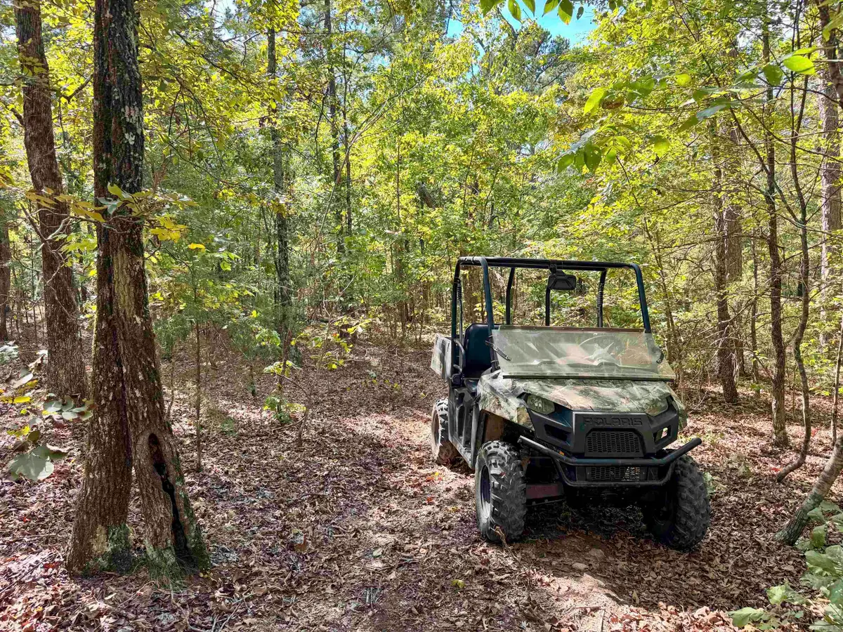 1550 Pole Ranch Road, Shirley, AR 72153 - #1