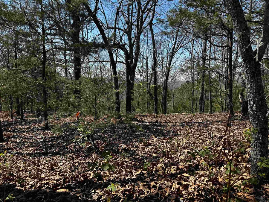 000 Horton Hill Road, Locust Grove, AR 72680 - #2