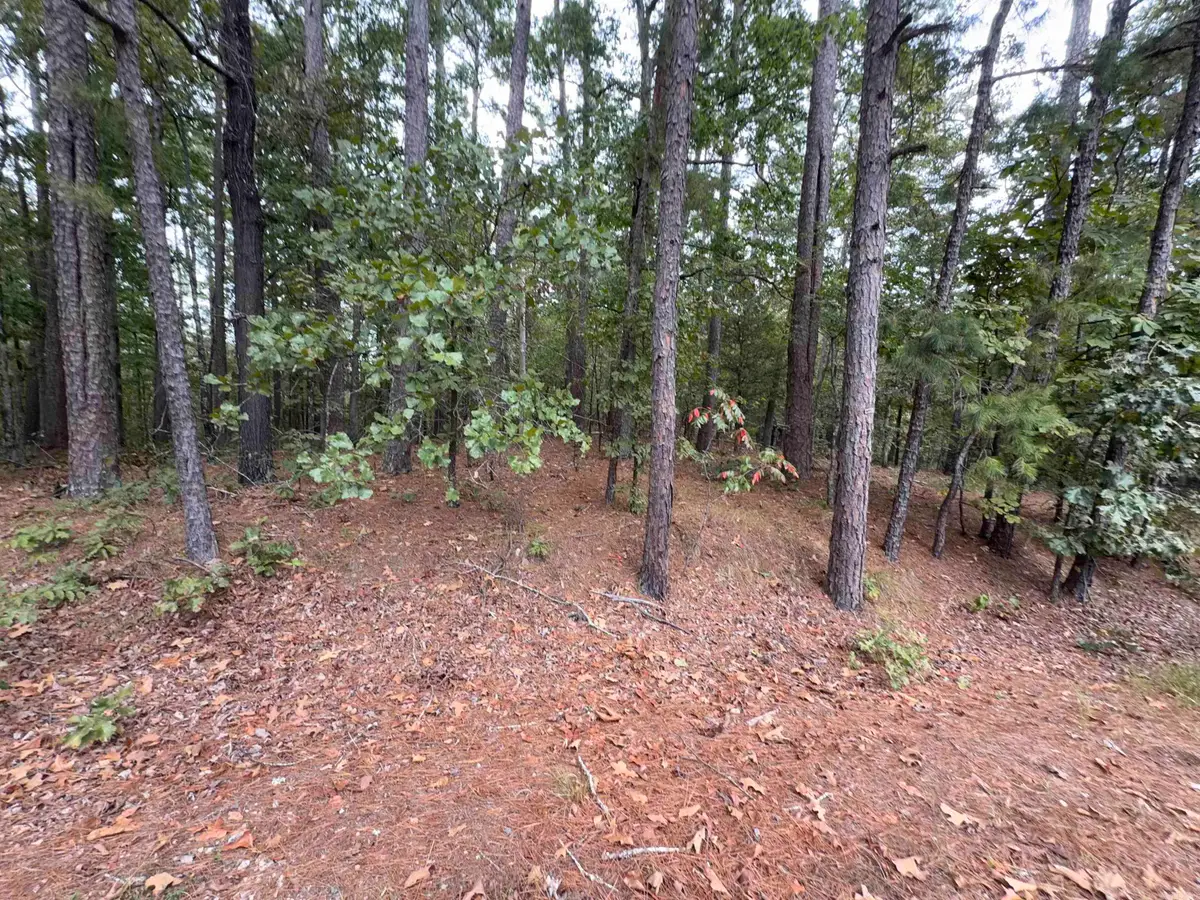 28 Cancion Way, Hot Springs Village, AR 71909 - #1