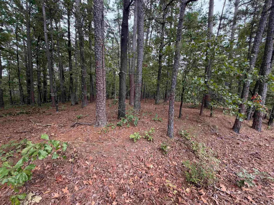 28 Cancion Way, Hot Springs Village, AR 71909 - #3
