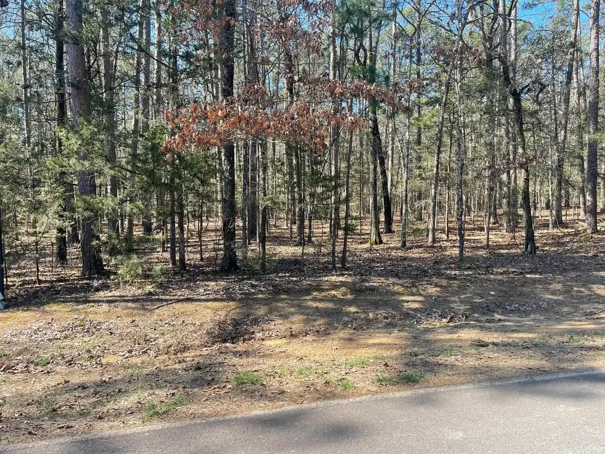 000 Santa Lucia Drive, Fairfield Bay, AR 72088 - #1