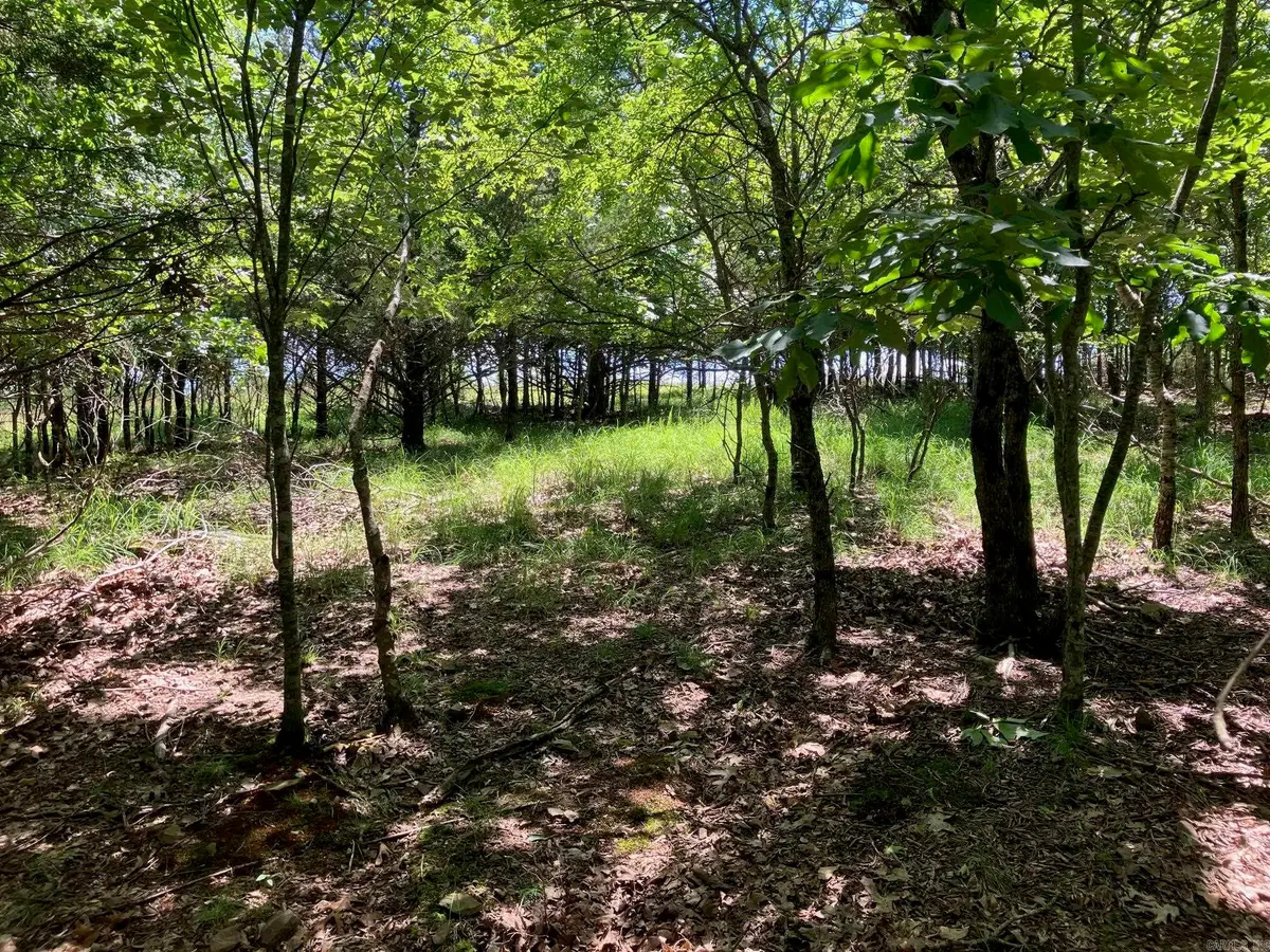 TBD 3 AC Thompson Creek Lane Lane, Mena, AR 71953 - #1