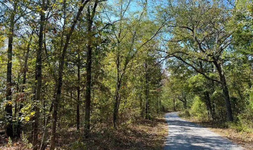 355 Gunther, Cushman, AR 72526 - #1