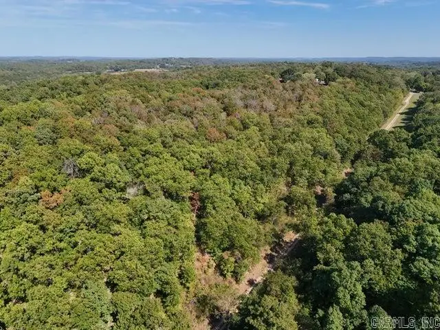 355 Gunther, Cushman, AR 72526 - #2