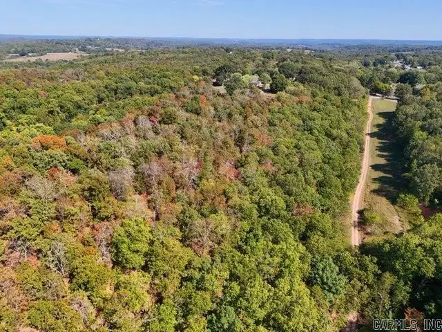355 Gunther, Cushman, AR 72526 - #3