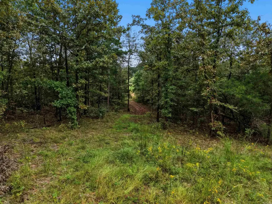 00 Gayes Drive, Clinton, AR 72031 - #3