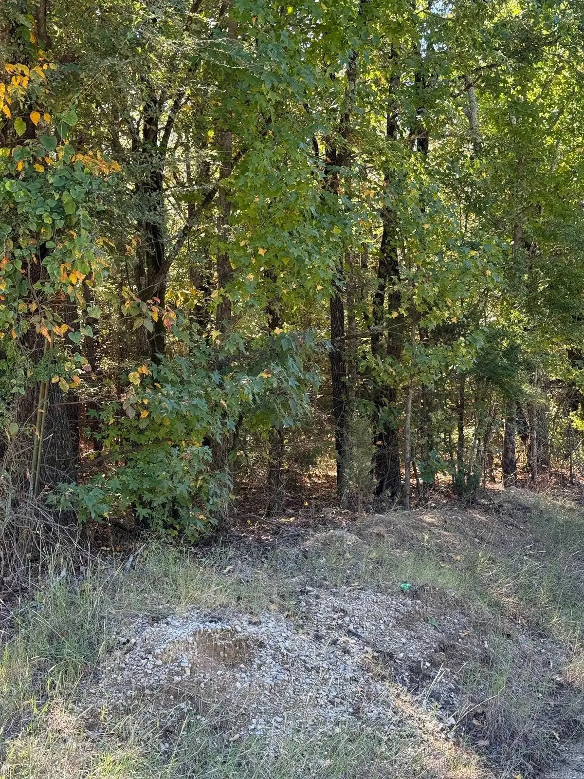 778 Greene Road, Paragould, AR 72450 - #1