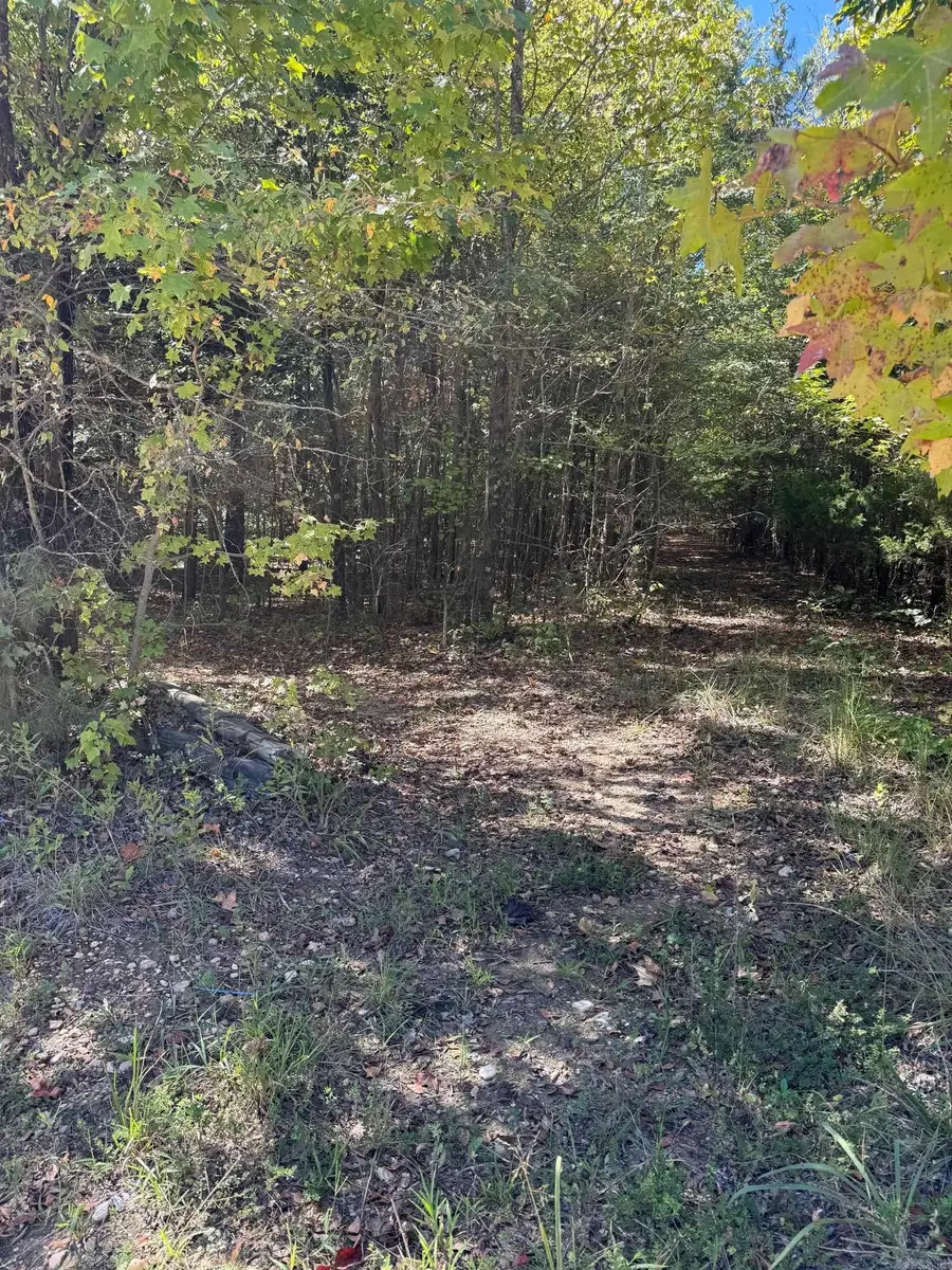 778 Greene Road, Paragould, AR 72450 - #3