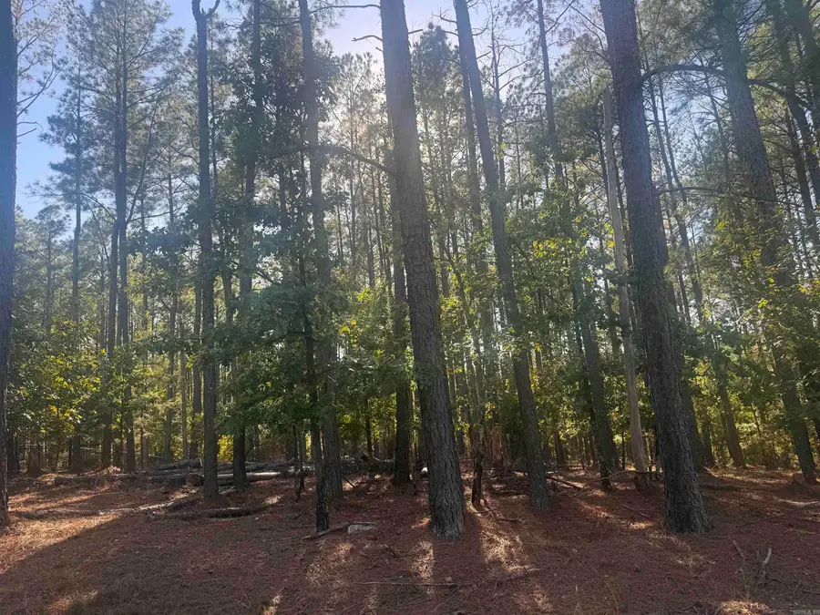 19 Vigoroso Lane, Hot Springs Village, AR 71909 - #2