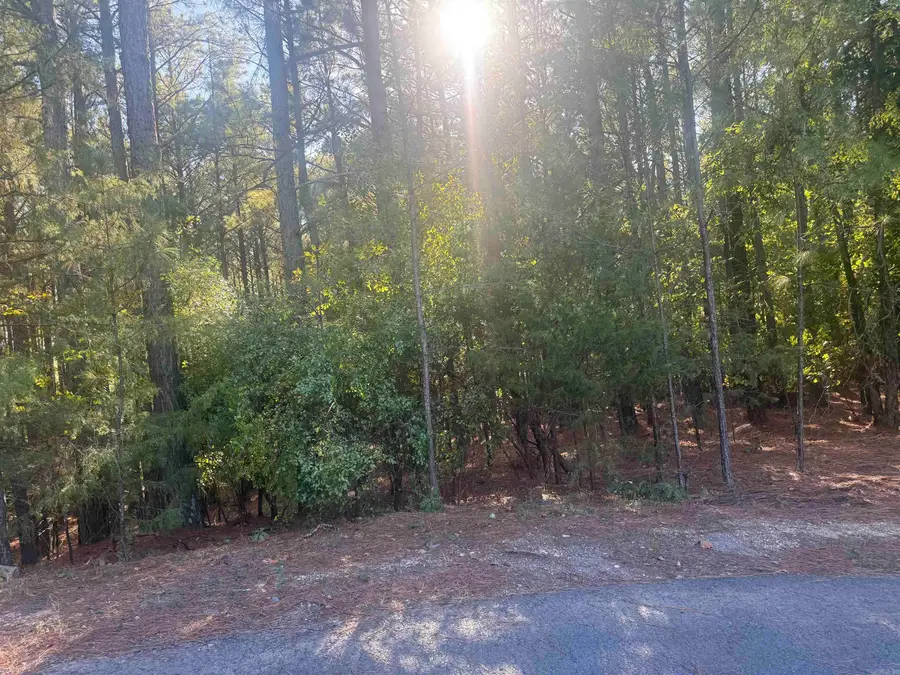 8 Atalaya Trace, Hot Springs Village, AR 71909 - #2