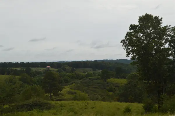 000 Cozahome Rd, Harriet, AR 72639