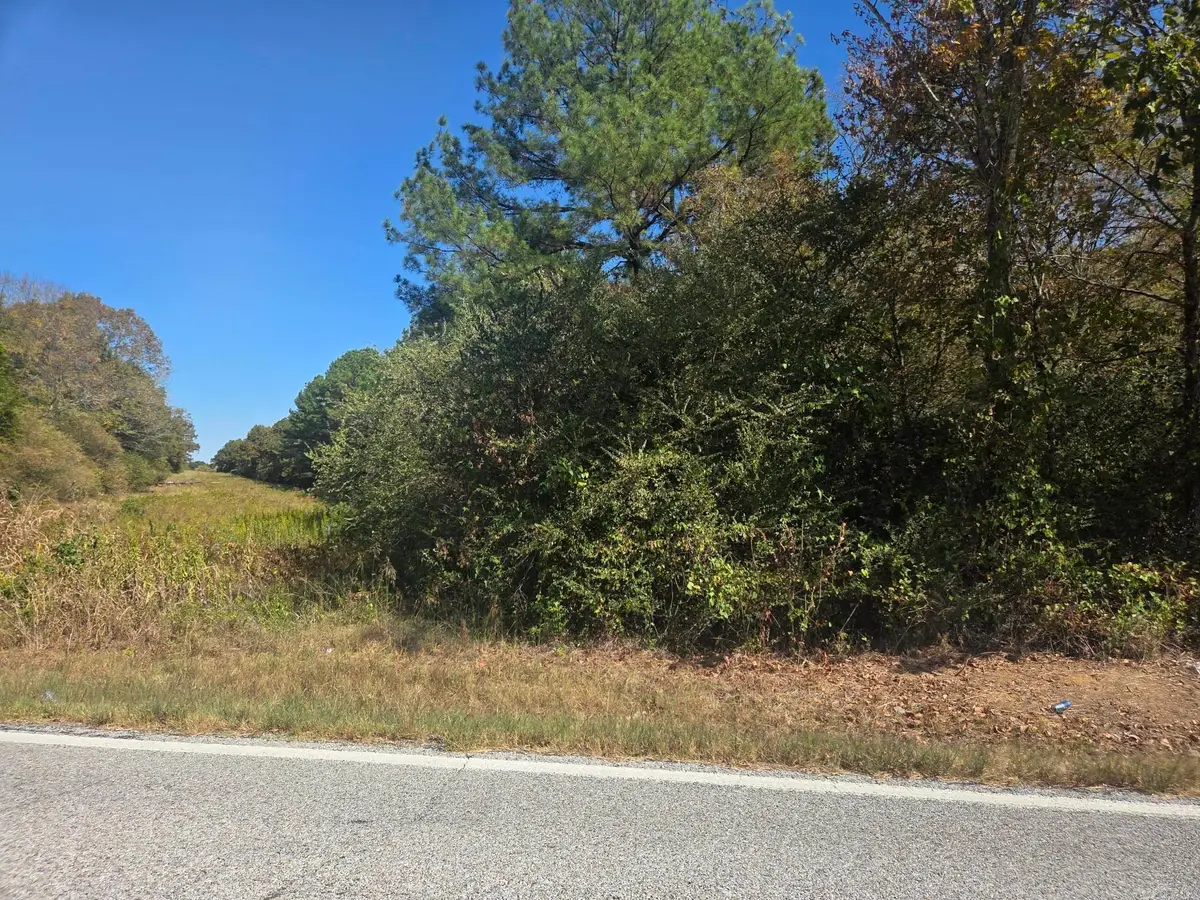 22 acres off Hwy 157, Judsonia, AR 72081 - #1