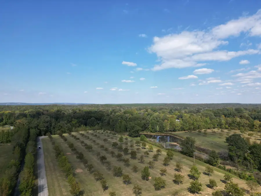 4231 Hwy 337 E Pecan Point Drive, Heber Springs, AR 72543 - #3