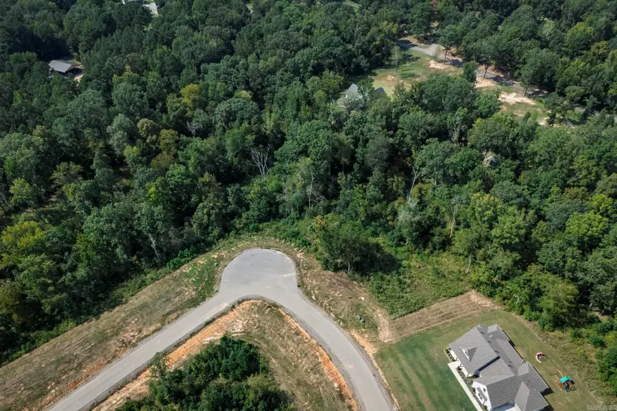 101 Shepherd Loop Drive, Arkadelphia, AR 71923 - #3