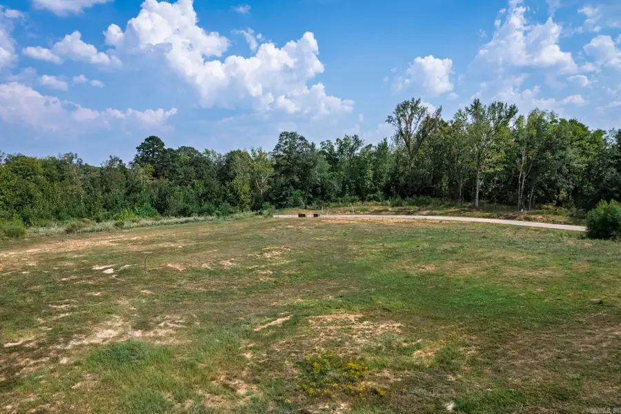 289 Shepherd Loop Drive, Arkadelphia, AR 71923 - #2