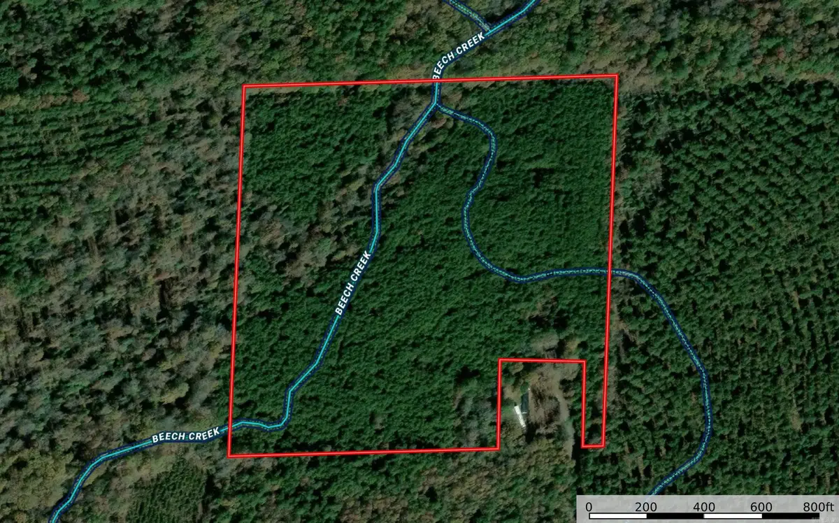TBD 38 Acres Dallas 429, Carthage, AR 71725 - #1