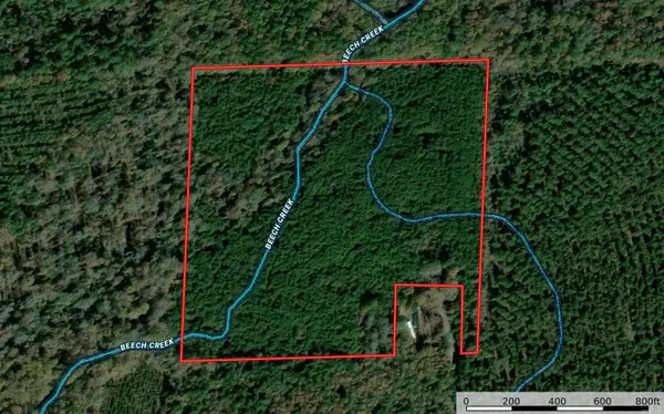 TBD 38 Acres Dallas 429, Carthage, AR 71725