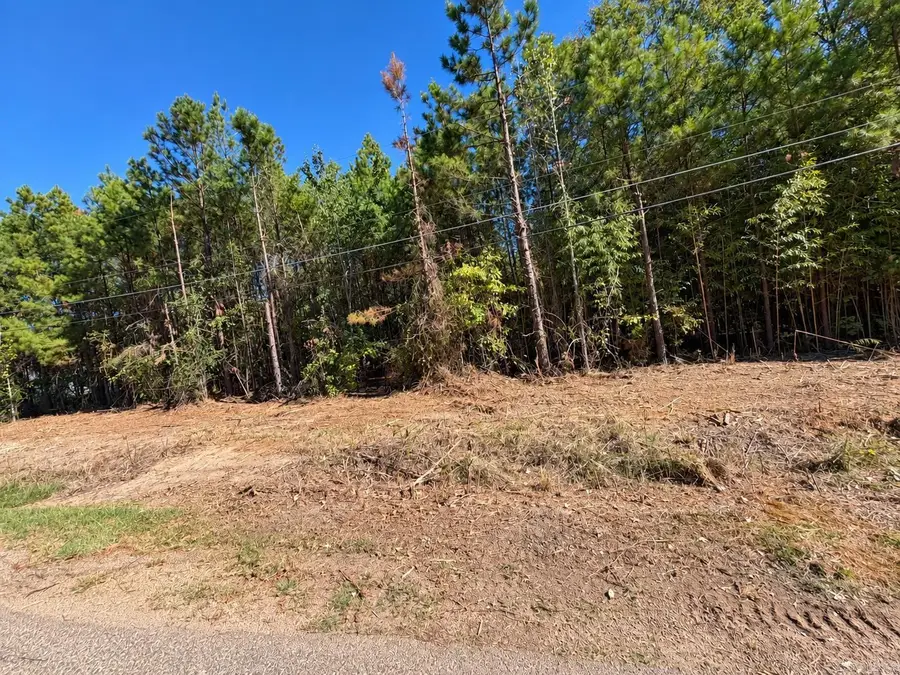 930 Ford Drive, Fordyce, AR 71742 - #3