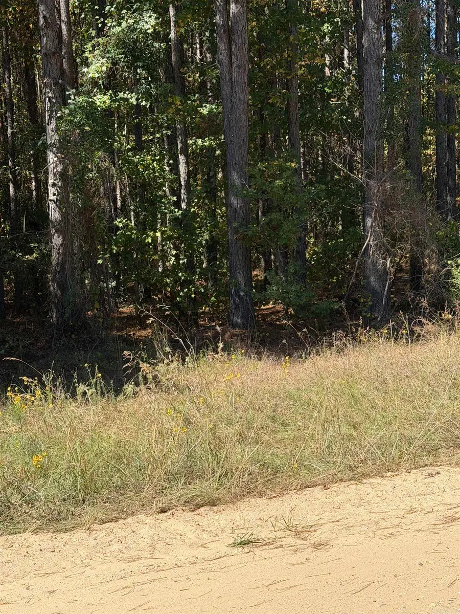 7214 Jericho, Pine Bluff, AR 71603 - #2
