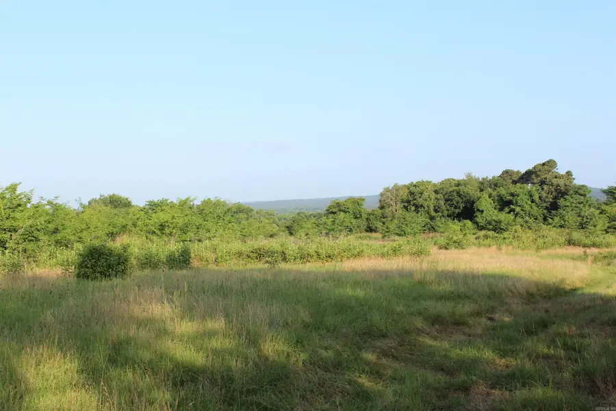 Address Withheld By Seller, New Blaine, AR 72851 - #3