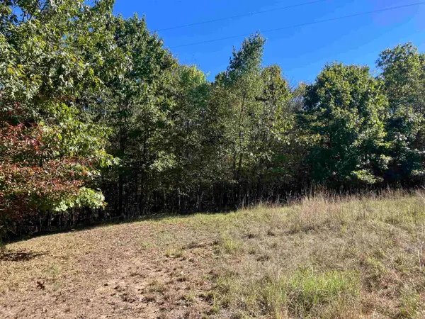 TBD Tract 5 Polk Road 78 Road, Mena, AR 71953