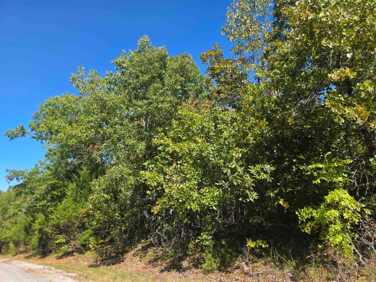 1106 S Michigan Avenue, Horseshoe Bend, AR 72512 - #1