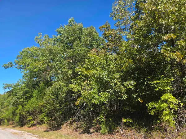 1106 S Michigan Avenue, Horseshoe Bend, AR 72512
