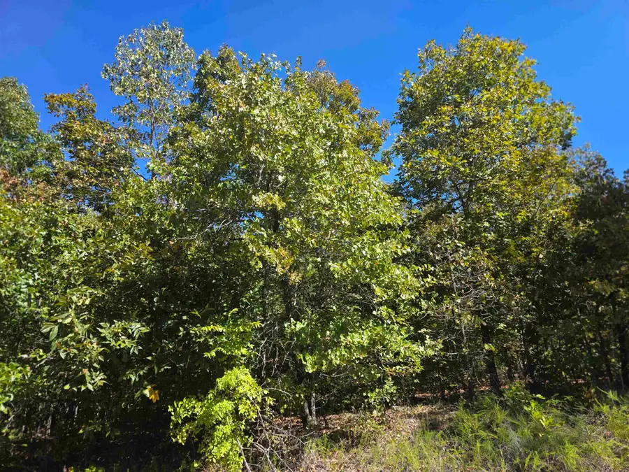 1106 S Michigan Avenue, Horseshoe Bend, AR 72512 - #2